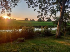 a sunset over a field with a tree and a pond at Ferienwohnung-Wenke in Tönning
