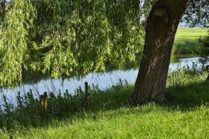 テニングにあるFerienwohnung-Wenkeの湖の横の樹木と消火器