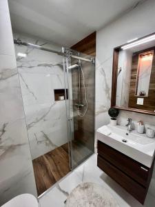 bagno con doccia e lavandino di Kovacevic Apartments a Kotor (Cattaro)
