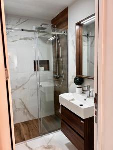 a bathroom with a shower and a sink at Kovacevic Apartments in Kotor +60 photos