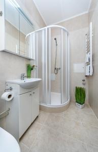 a bathroom with a shower and a sink at Khreschatyk. Maidan, Independence Square 2BR in Kyiv