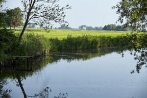 テニングにあるFerienwohnung-Volkerの畑の横にベンチを持つ川