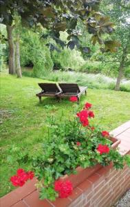 a park bench and red flowers in a garden at Ferienwohnung-Volker in Tönning