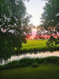 テニングにあるFerienwohnung-Volkerの木々や芝生が茂る池に沈む夕日