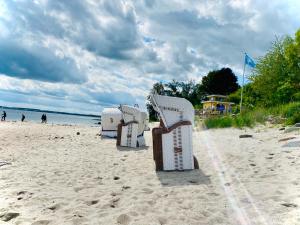 - une rangée de chaises longues sur une plage dans l'établissement FeWo SONNENDECK Familien-strandnah-Garten-Hunde-Sport-und Schwimmbadnah-HansaPark, à Sierksdorf