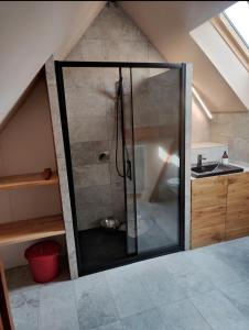 a bathroom with a shower in a attic at Gite Du Vigneron in Turckheim