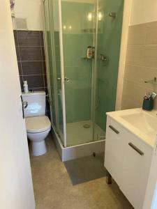 łazienka z toaletą i przeszklonym prysznicem w obiekcie Maison de vacances 3 chambres avec terrasses w mieście Saint-Georges-de-Didonne +5 zdjęć