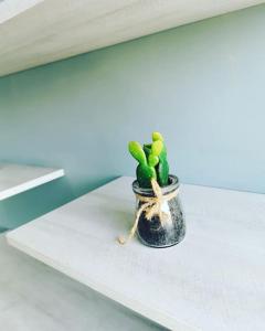 a small green cactus in a pot on a table at Moderno y lindo apartamento de 3 habitaciones cerca al aeropuerto in Yopal