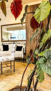 a bedroom with a bed and a plant at Central 9 Rooms in Ermoupoli