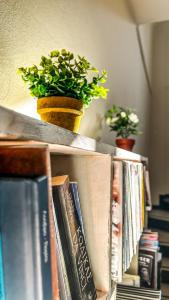 una libreria con libri e una pianta in vaso. di Central 9 Rooms a Ermoupoli