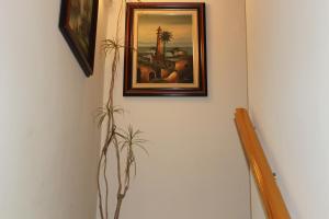 Fotografie z fotogalerie ubytování Maximiano Herculeo v destinaci Córdoba