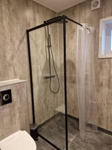 La salle de bains est pourvue d'une cabine de douche et de toilettes. dans l'établissement New flat with hot tub - No3, à Oyndarfjørður
