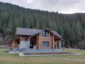 a log cabin in the middle of a forest at Căsuța ta de la munte in Broşteni
