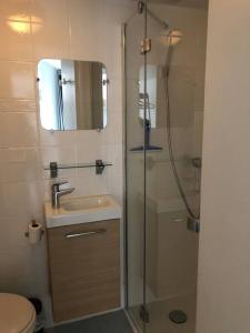 een badkamer met een douche, een wastafel en een toilet bij Appartement vue sur Mer in Plérin