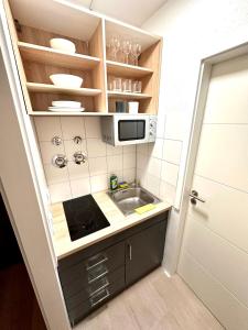 eine kleine Küche mit einer Spüle und einer Mikrowelle in der Unterkunft Business Apartment Lörrach in Lörrach