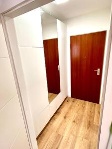 Zimmer mit Spiegel und Tür in der Unterkunft Business Apartment Lörrach in Lörrach