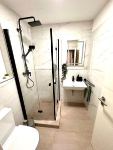 W łazience znajduje się prysznic i umywalka. w obiekcie Business Apartment Lörrach w mieście Lörrach