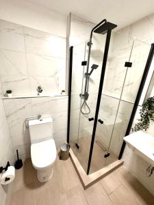 uma casa de banho com um WC e uma cabina de duche em vidro. em Business Apartment Lörrach em Lörrach