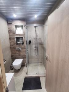 a bathroom with a shower and a toilet at Paradise Swing Apartment Sofia in Sofia