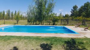 - une piscine dans une cour avec un arbre dans l'établissement CABAÑAS MAY ., à San Rafael
