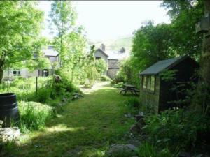 un jardin avec une table de pique-nique et un hangar dans l'établissement Snowdon Cottage, à Dinorwic