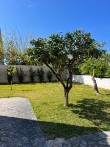 Сад в Villa Gianna