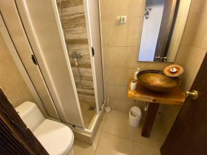 a bathroom with a sink and a toilet and a shower at Departamento de Vynka in Algarrobo