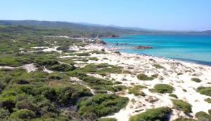 レーナ・マイオレにあるCasa MARTAのギャラリーの写真