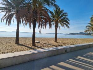 three palm trees on a beach with a road at studio cabine. Terrasse in Le Lavandou