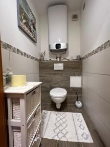 a small bathroom with a toilet and a sink at Apartament Acasa in Spielberg +18 photos