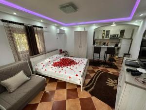 Kuhinja ili čajna kuhinja u objektu Sunshine Apartment with Private Pool and Parking