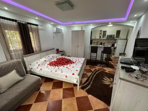 uma sala de estar com uma cama com corações vermelhos em Sunshine Apartment with Private Pool and Parking em Kotor