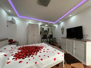 TV i/ili multimedijalni sistem u objektu Sunshine Apartment with Private Pool and Parking