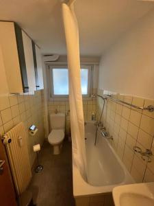 Koupelna v ubytování Alpina Appartment Kandersteg