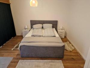 Postel nebo postele na pokoji v ubytování Alpina Appartment Kandersteg