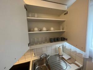 Kuchyň nebo kuchyňský kout v ubytování Alpina Appartment Kandersteg