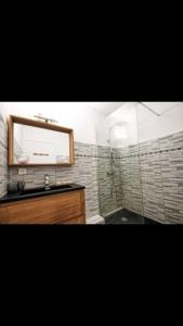 a bathroom with a shower with a mirror and a sink at Superbe appartement avec piscine l'été in Nice