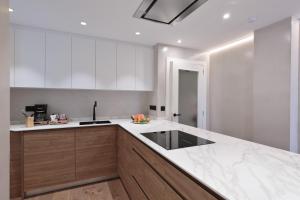 A kitchen or kitchenette at RAMBLA POBLENOU Luxury