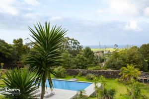 une villa avec une piscine et un palmier dans l'établissement Casa das Hortências by Azoresrent, à Farroupo