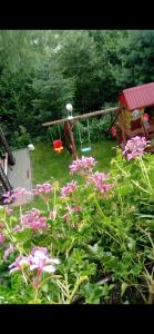 a garden with pink flowers and a swing at Na wzgórzu in Krośnica