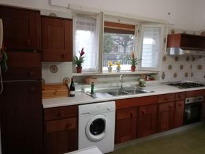 uma cozinha com um lavatório e uma máquina de lavar roupa em appartamento con giardino vicino al mare em Palidoro