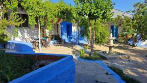 a garden with a fountain in the middle of a yard at Gîte El houmar in Tanakoub