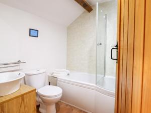 a bathroom with a toilet and a sink and a shower at Cwm Yr Afon Cottage in Harlech +17 photos
