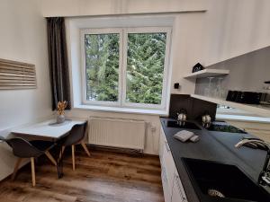 Fotografie z fotogalerie ubytování Apartmán Adéla v destinaci Černé Údolí