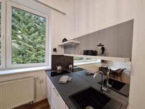 Fotografie z fotogalerie ubytování Apartmán Adéla v destinaci Černé Údolí