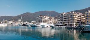 a group of boats docked in a marina with buildings at Boka Bay in Tivat