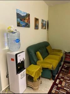 a living room with a green couch and a machine at Newly renovated cozy studio 2 min 2 SEA in Alexandria