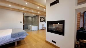 1 dormitorio con chimenea, 1 cama y TV en Casa Angiz etxea, en Sumbilla