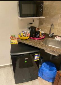 a kitchen with a counter with a sink and a microwave at Newly renovated cozy studio 2 min 2 SEA in Alexandria