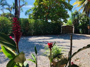 Giardino di Hotel Cocodrilo Sierpe